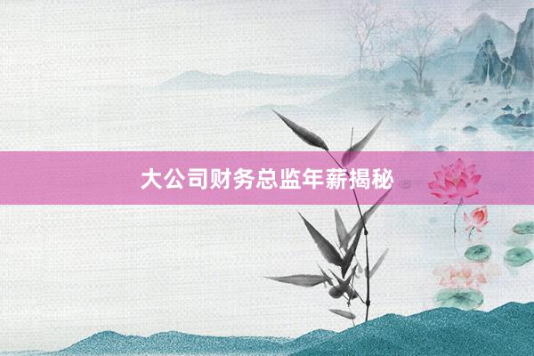 大公司财务总监年薪揭秘